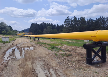 Ghiosesti - Imagine 7 din galeria proiectului