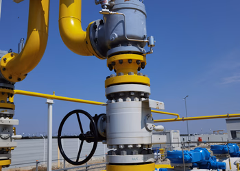 Onesti Statie Comprimare - Imagine 22 din galeria proiectului